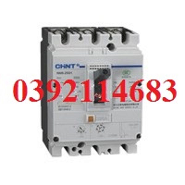 Moulded Case Circuit Breaker (Chint)
