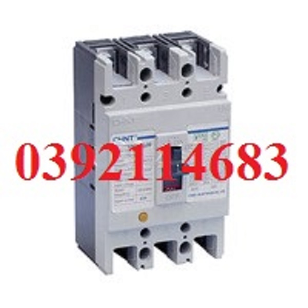 Moulded Case Circuit Breaker (Chint)1