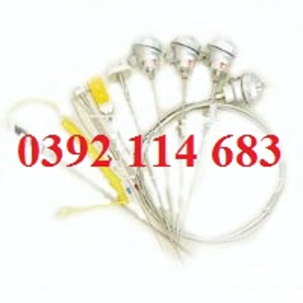 Cặp nhiệt điện Armored Thermocouple