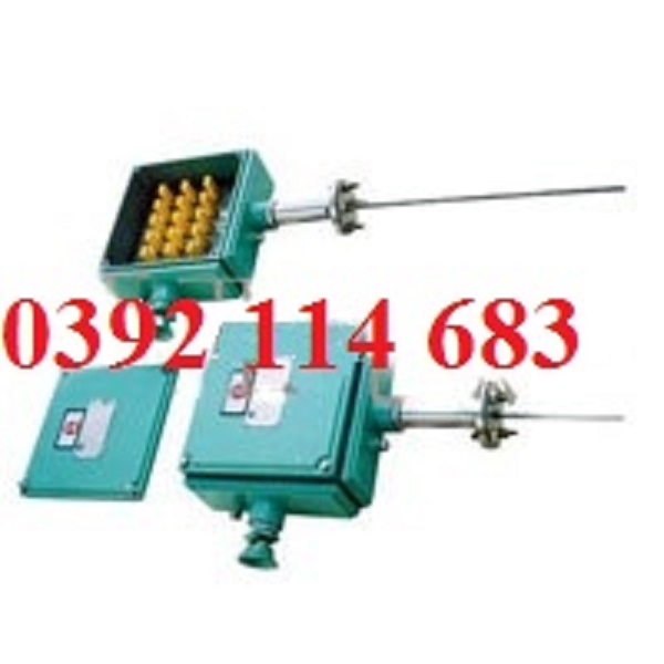 Cặp nhiệt điện Multi-point thermocouple